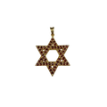 תלויי מגן דוד מזהב צהוב עם גרנט